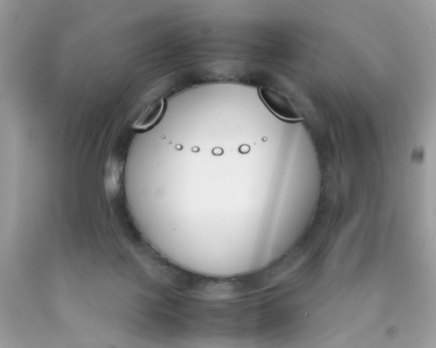 X0000090410075200707272058