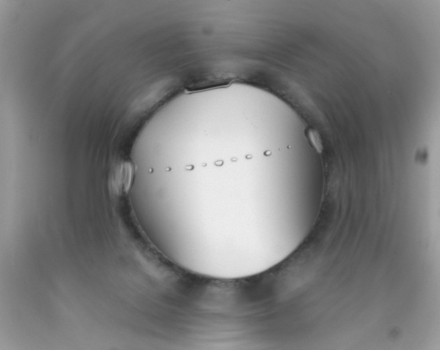 X0000090410076200707272058