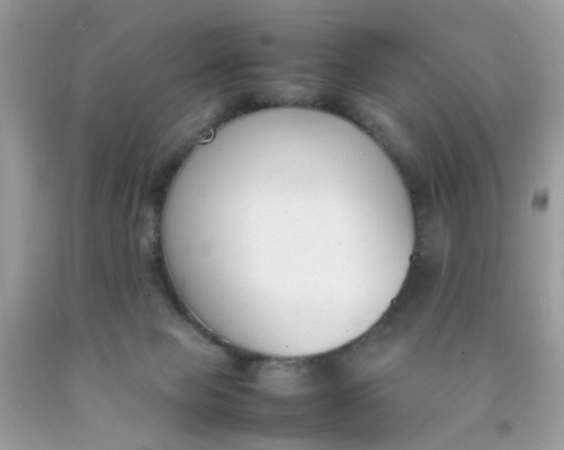 X0000090410077200707272058