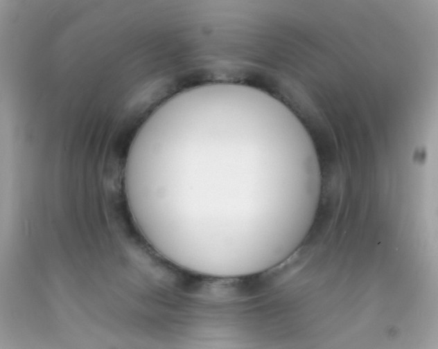 X0000090410078200707272058