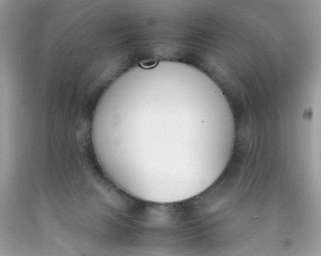 X0000090410079200707272058