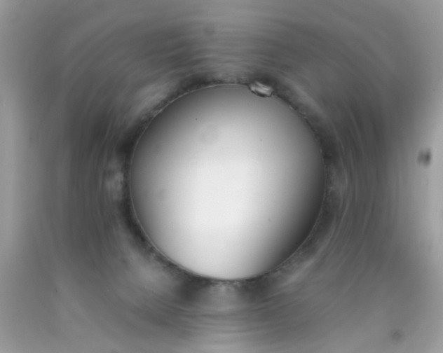 X0000090410080200707272058