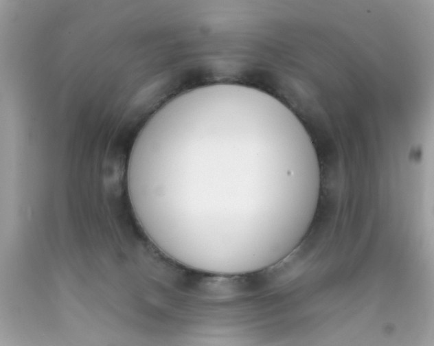 X0000090410082200707272058