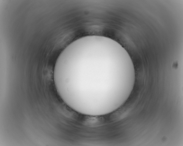 X0000090410083200707272058