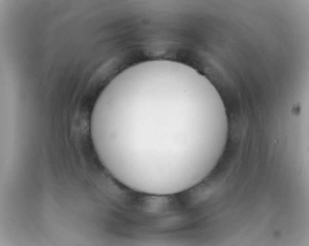 X0000090410085200707272058