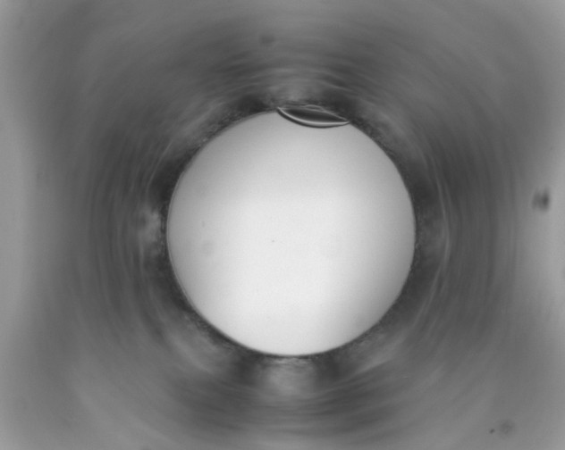 X0000090410087200707272058
