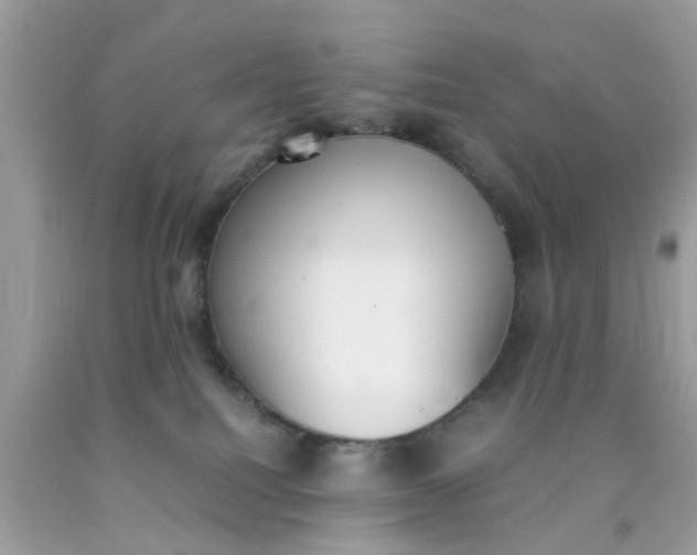 X0000090410088200707272059