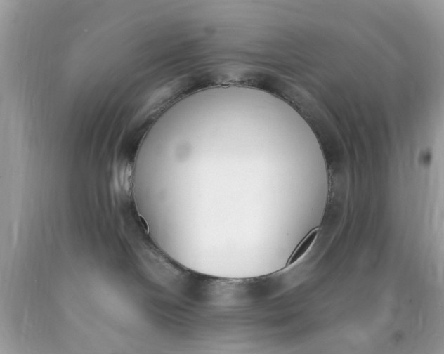 X0000090410094200707272059