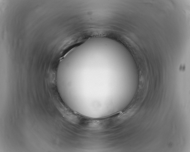 X0000090410096200707272059
