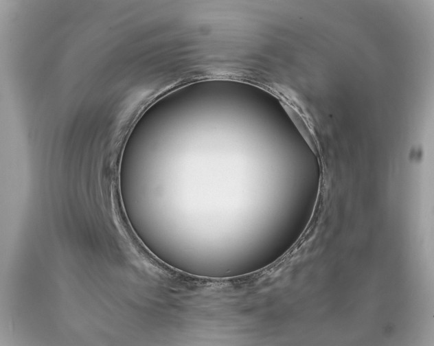 X0000090410097200707272058