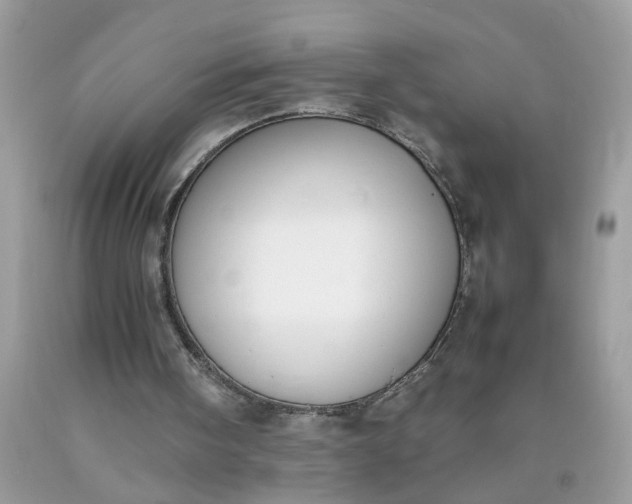 X0000090410098200707272058