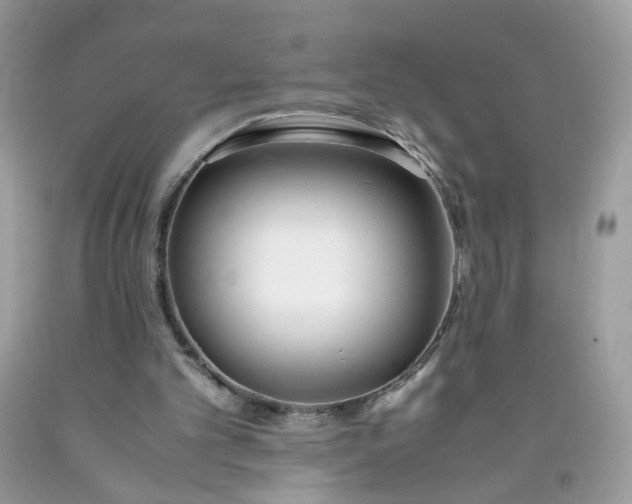 X0000090410101200707272058