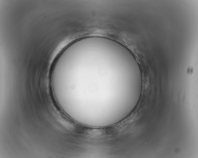 X0000090410102200707272058