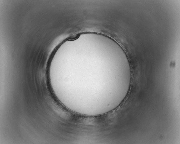 X0000090410104200707272058
