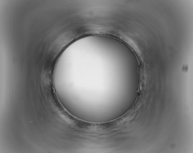 X0000090410105200707272058