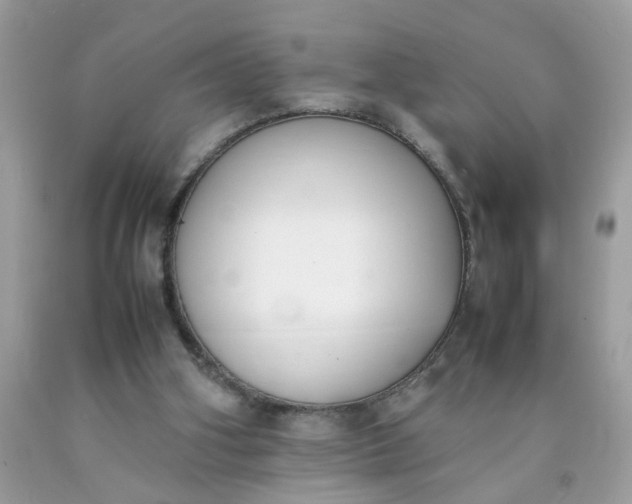 X0000090410106200707272058