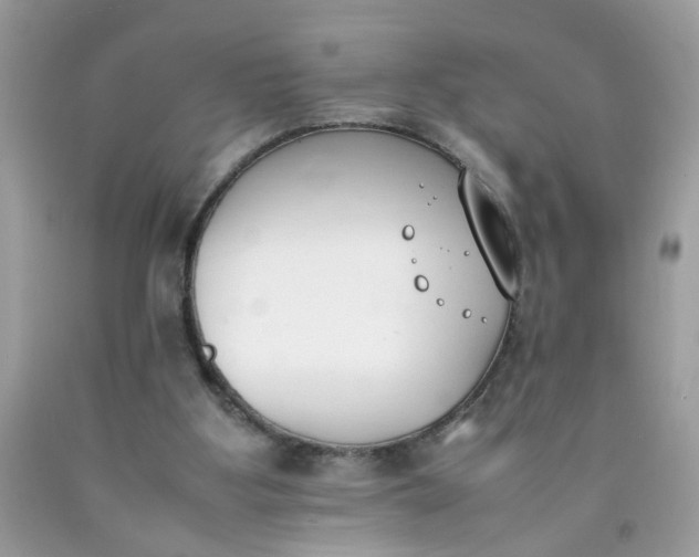 X0000090410107200707272058