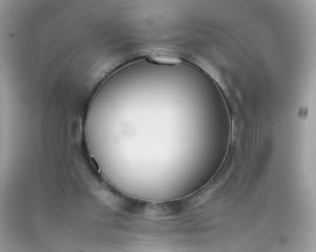 X0000090410109200707272058