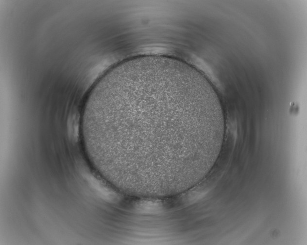 X0000090410110200707272058