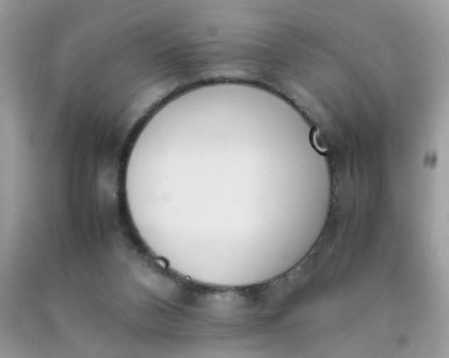 X0000090410112200707272058