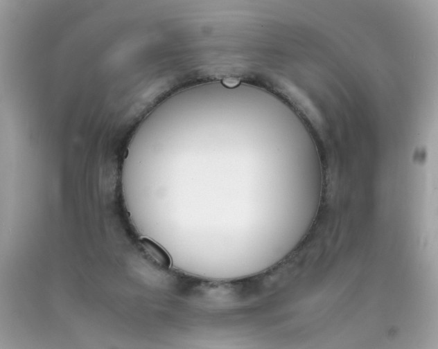 X0000090410113200707272058