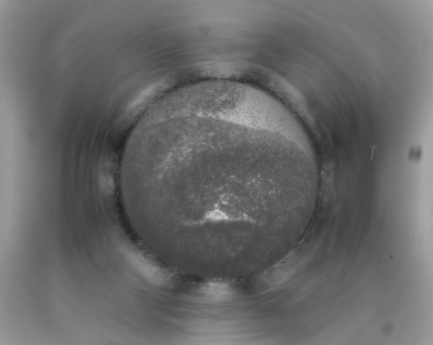 X0000090410114200707272058