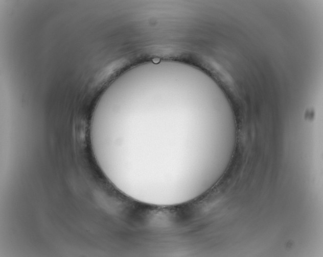 X0000090410115200707272058