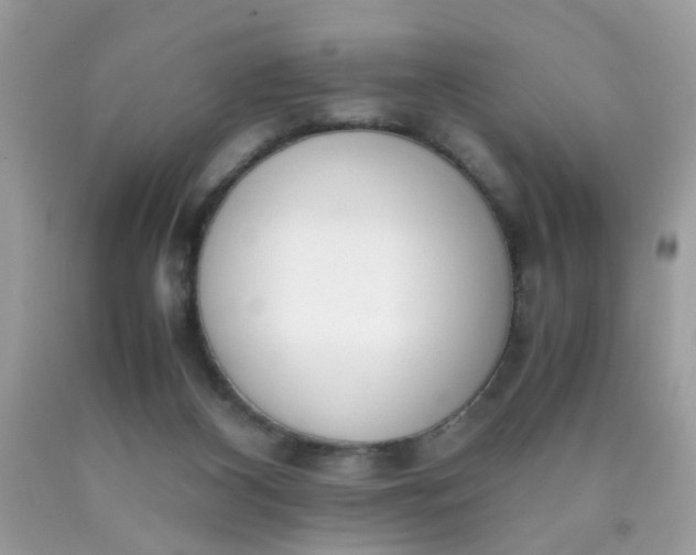 X0000090410116200707272058