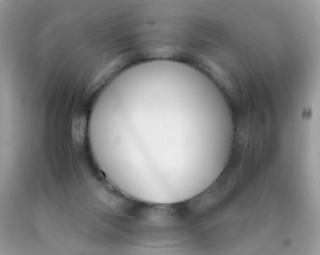 X0000090410118200707272058
