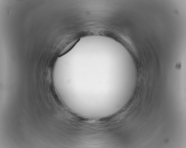 X0000090410121200707272058