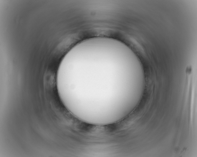 X0000090410123200707272058