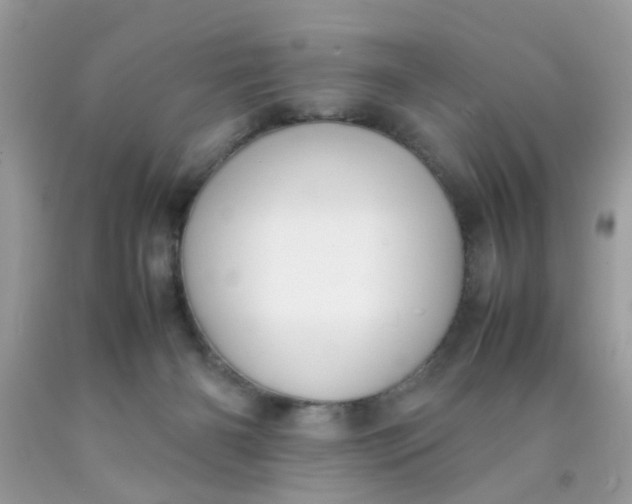 X0000090410126200707272058