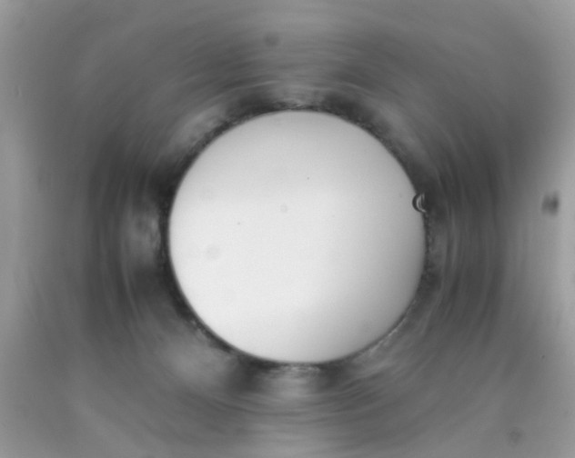 X0000090410128200707272058