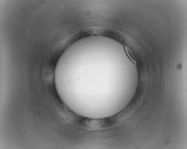 X0000090410129200707272058