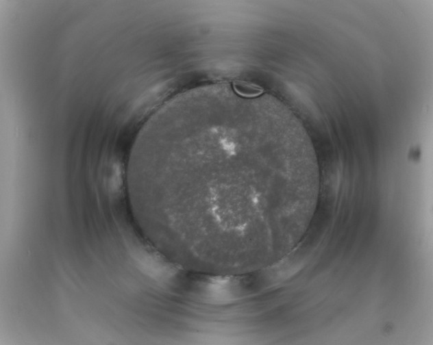 X0000090410130200707272058