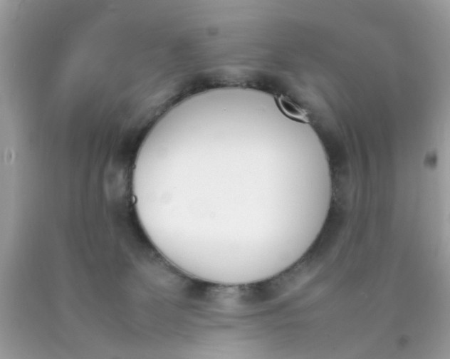 X0000090410131200707272058