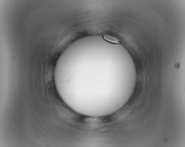 X0000090410133200707272058