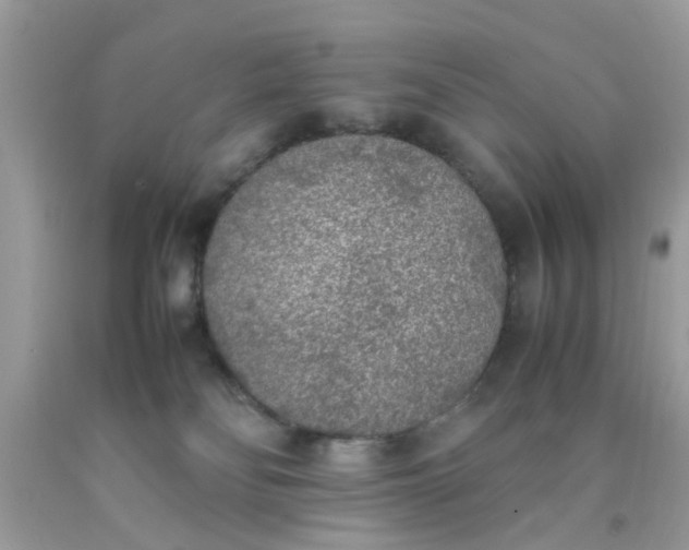 X0000090410134200707272058