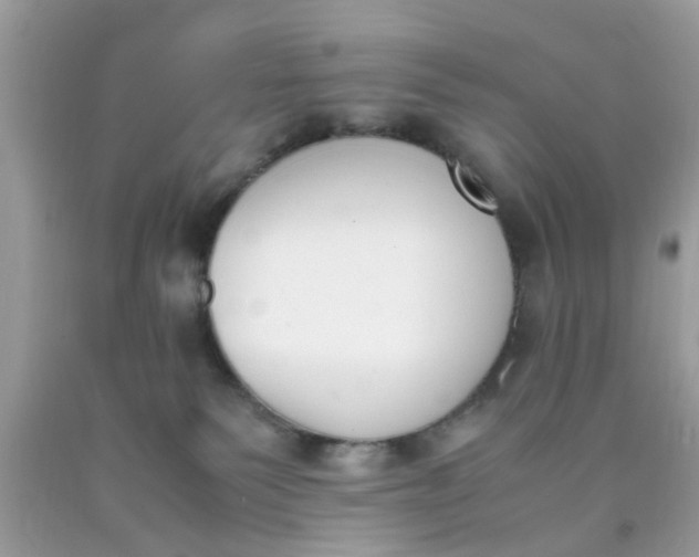 X0000090410135200707272058