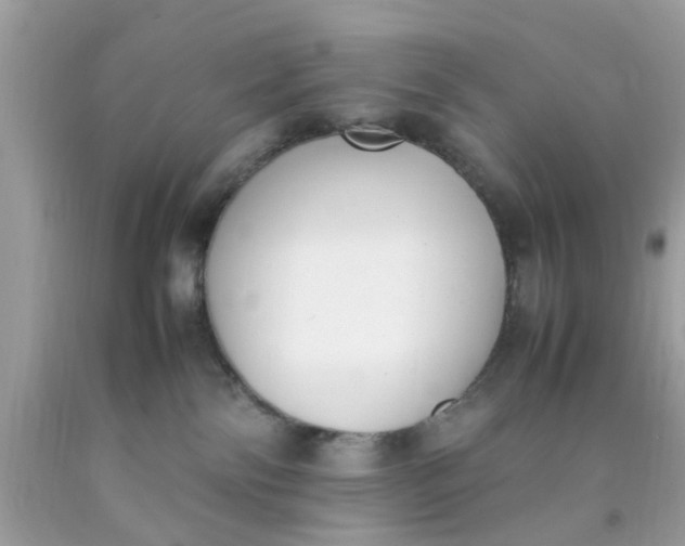 X0000090410138200707272058