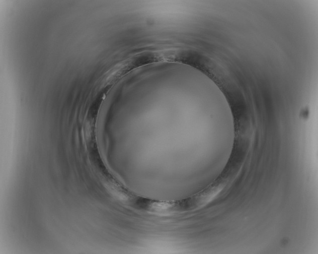 X0000090410139200707272057
