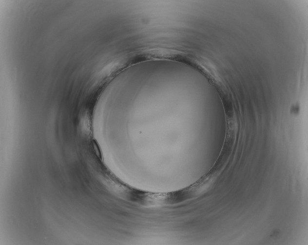 X0000090410143200707272057