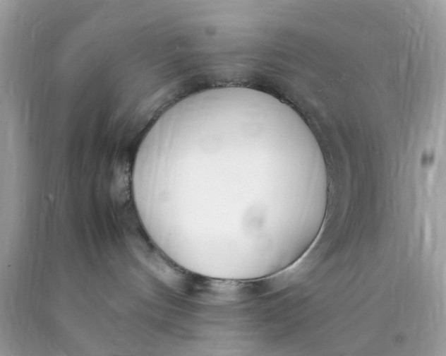 X0000090410144200707272057