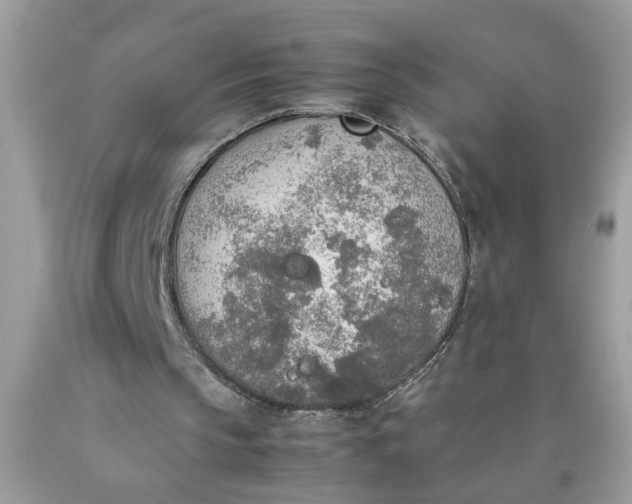 X0000090410145200707272057
