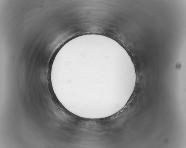 X0000090410146200707272057