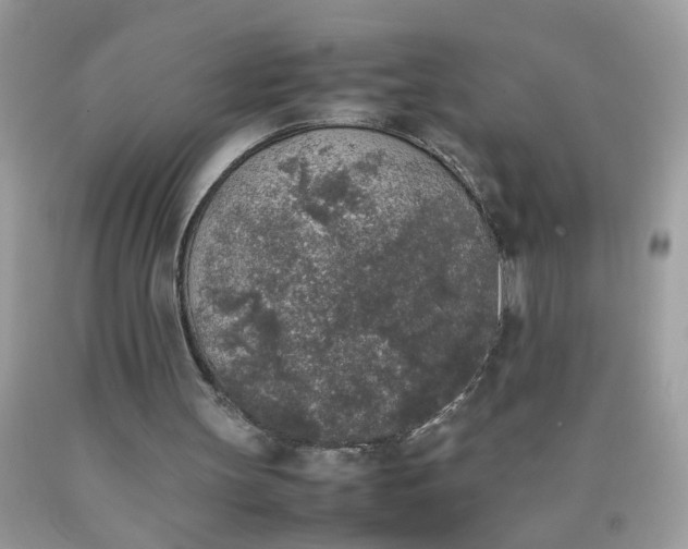 X0000090410147200707272057