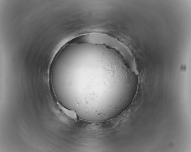 X0000090410148200707272057