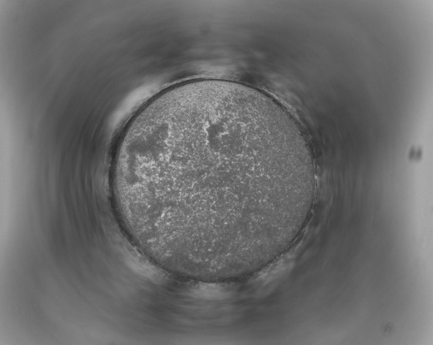 X0000090410149200707272057