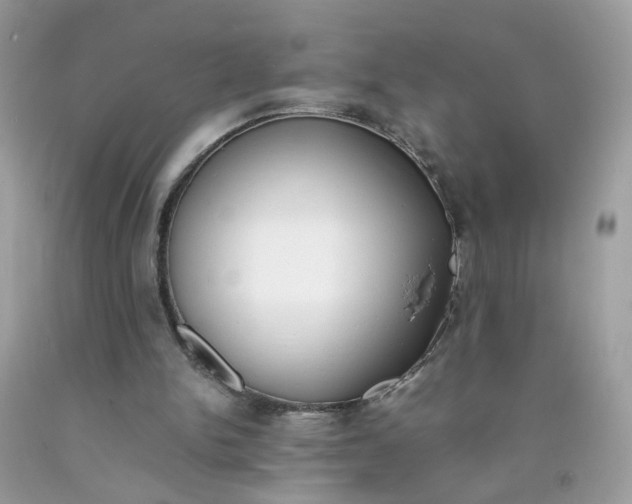 X0000090410150200707272057