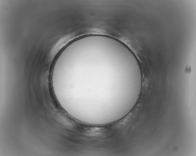 X0000090410151200707272057